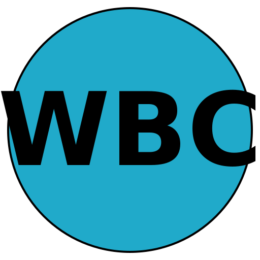 Wisdom Beauty Collective